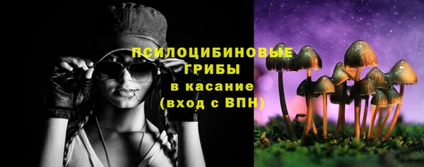 винт Армянск