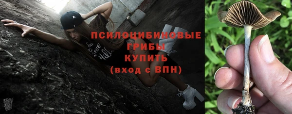 винт Армянск